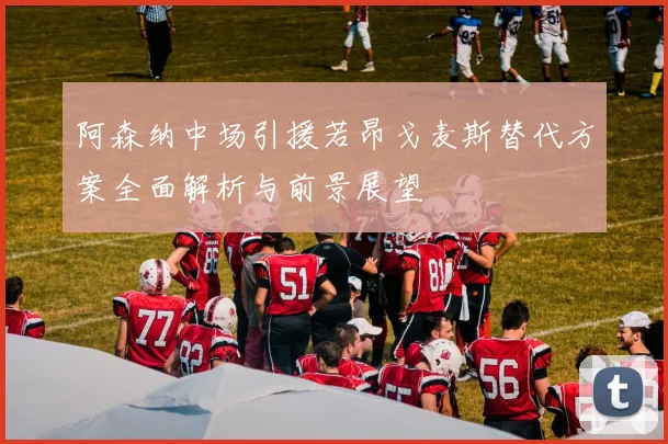 阿森纳中场引援若昂戈麦斯替代方案全面解析与前景展望